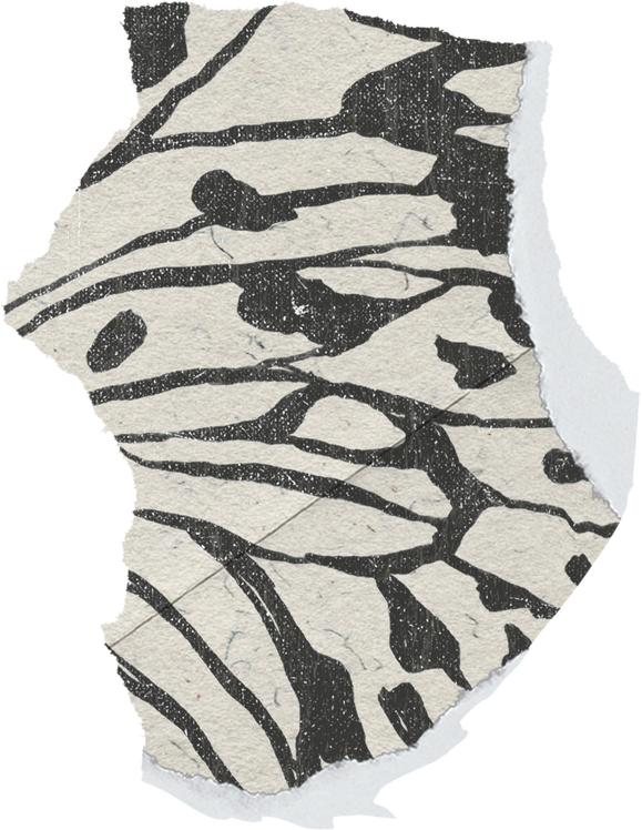 Textured Butterfly Print Scrap